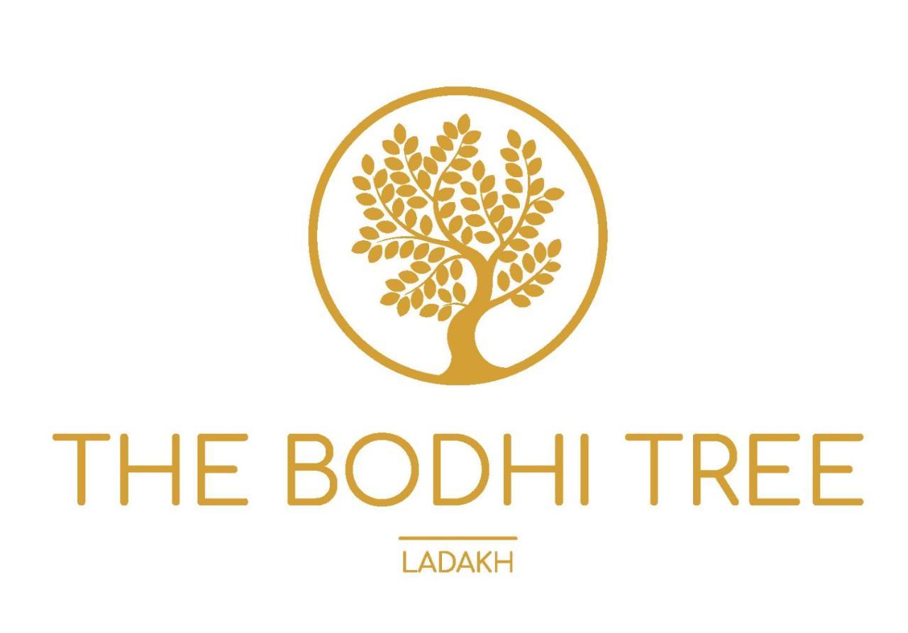 The Bodhi Tree Hotell Leh Eksteriør bilde
